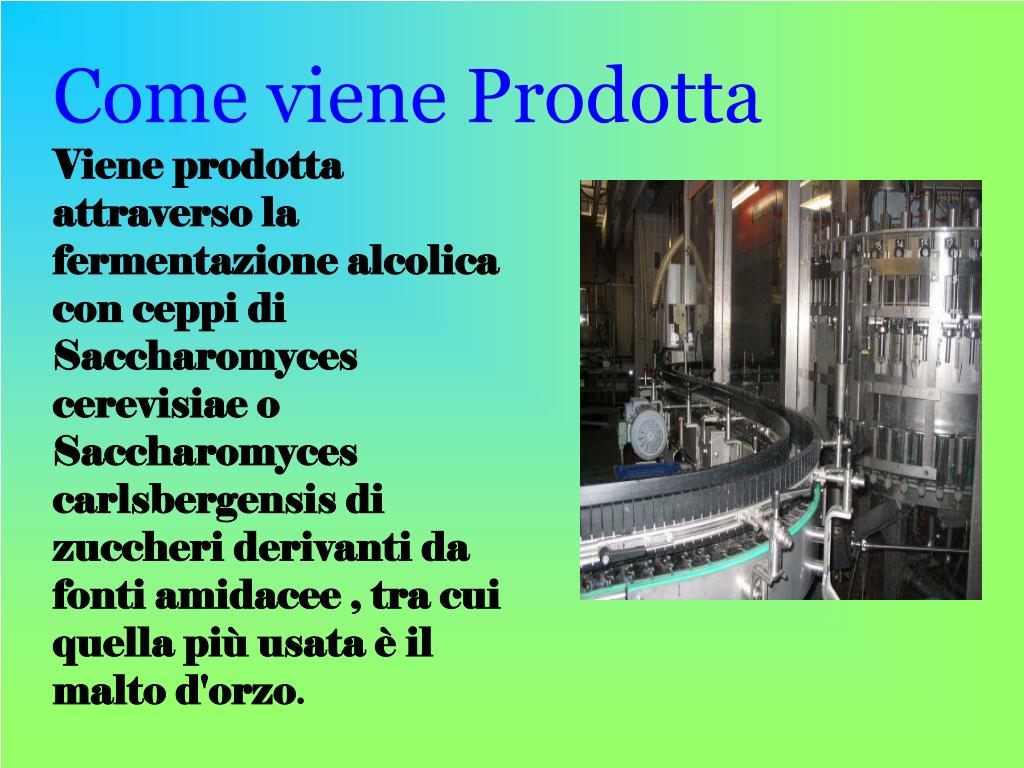 Come Viene Prodotta la Pasta: Tradizione e Innovazione